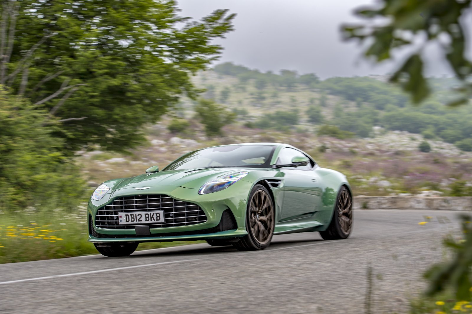 Aston_Martin_DB12_Green_0030.JPG