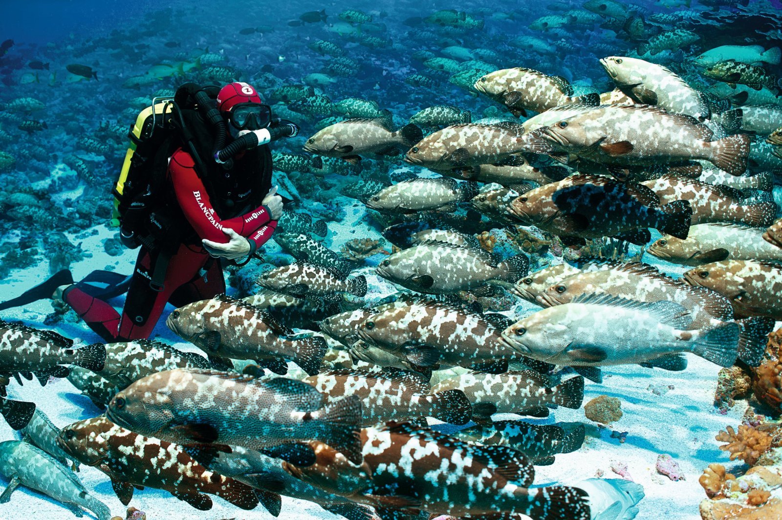 blancpain_05_gombessa_ii_french_polynesia_2014_claurent_ballesta.jpg