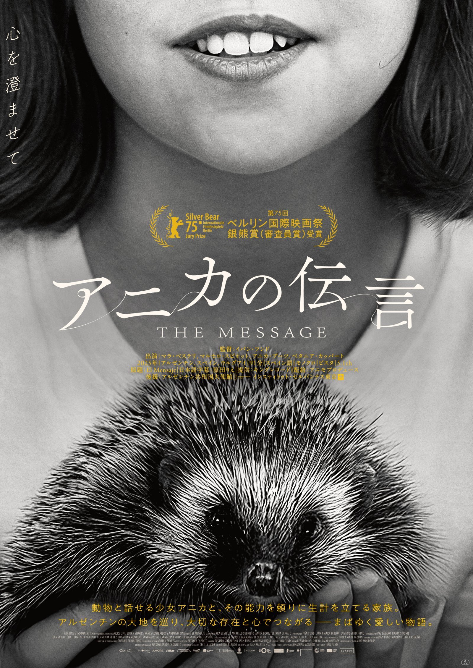 『アニカの伝言』ポスタービジュアル.jpg
