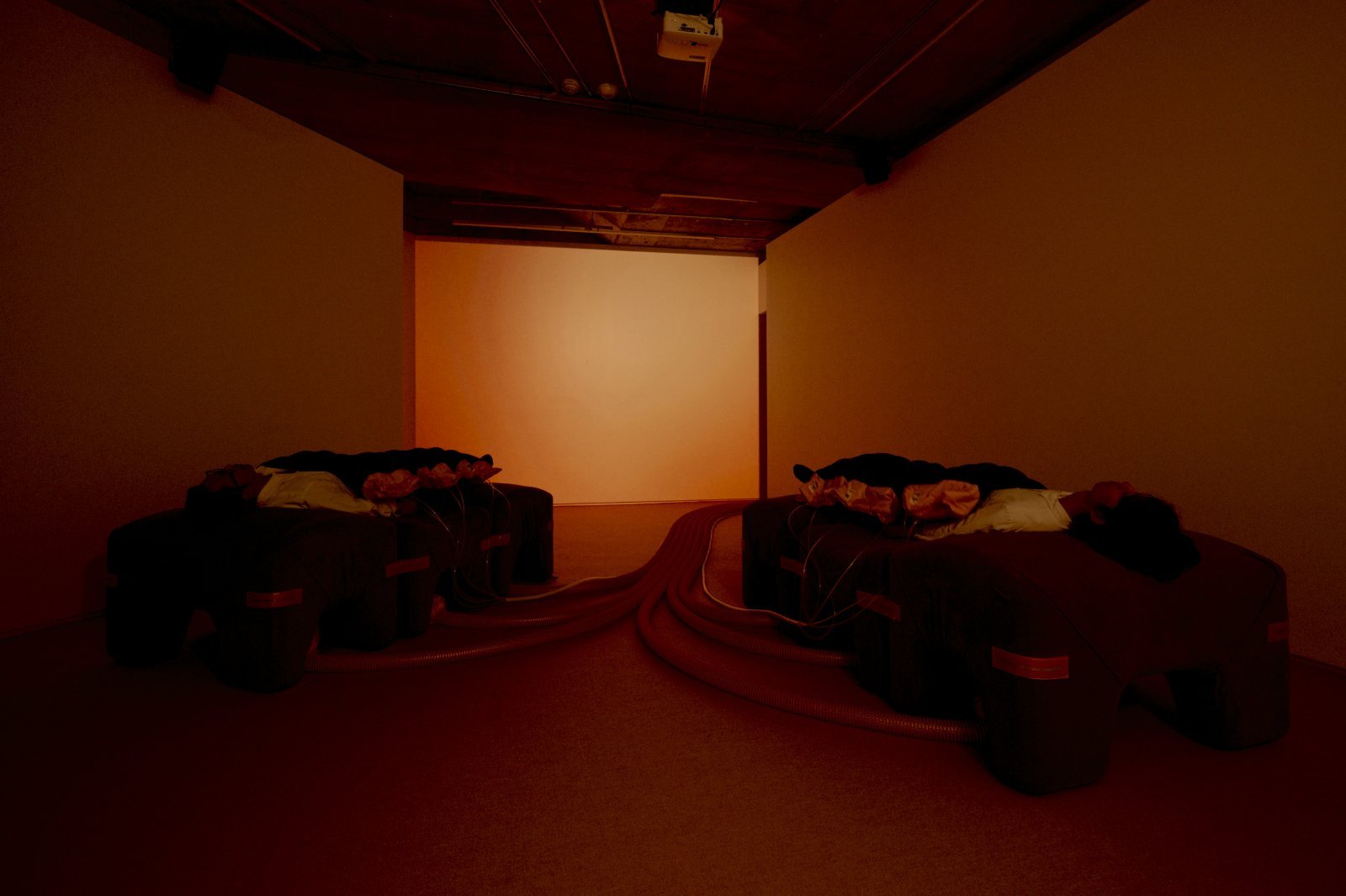 morphinn5_exhibition2.jpg