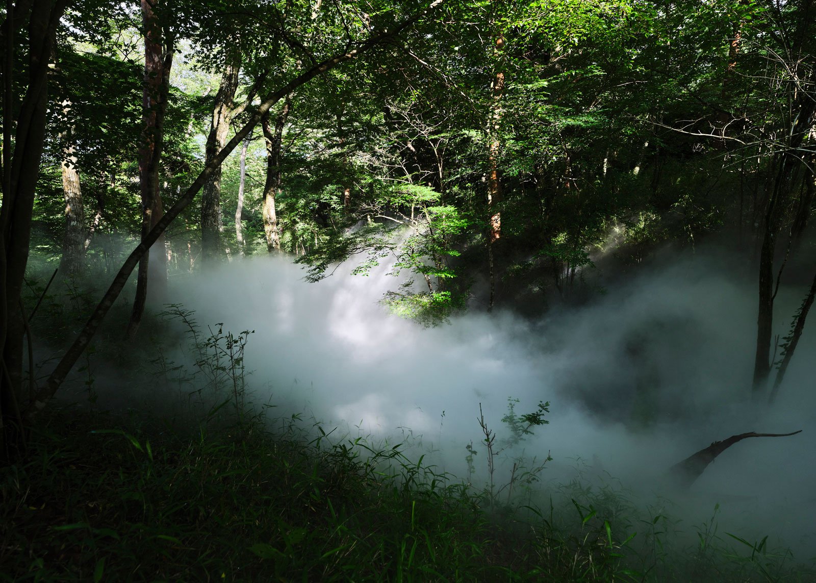 あたらしい目_展示風景_9.jpg