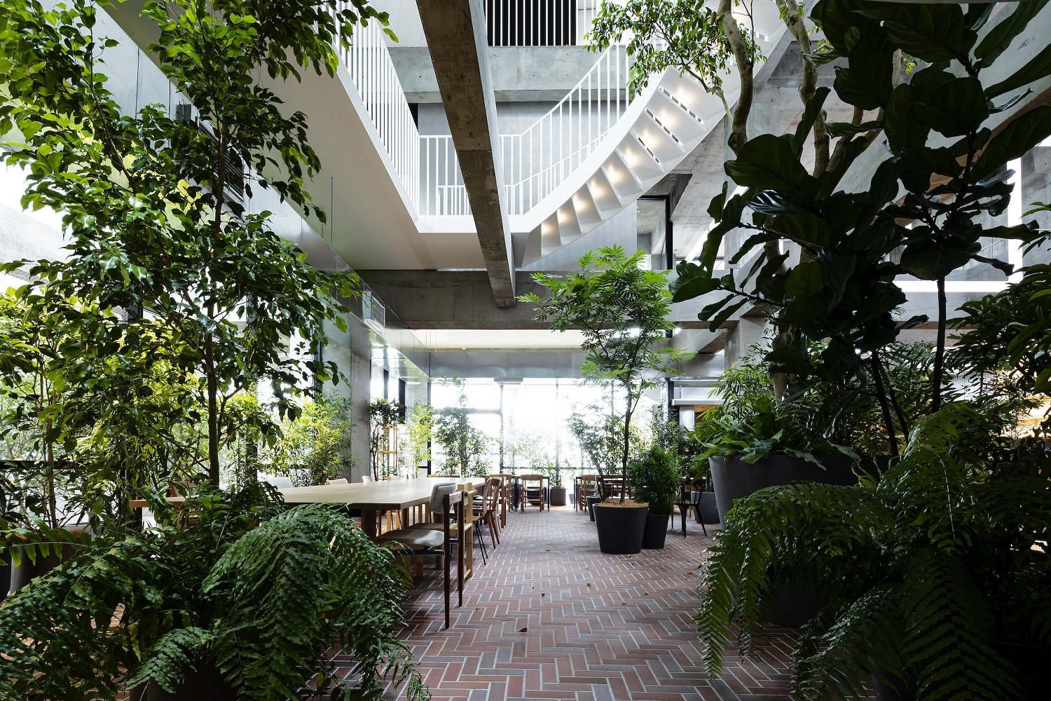 Shiroiya Hotel_the LOUNGE 0Y3A9893_©Shinya Kigure.jpg
