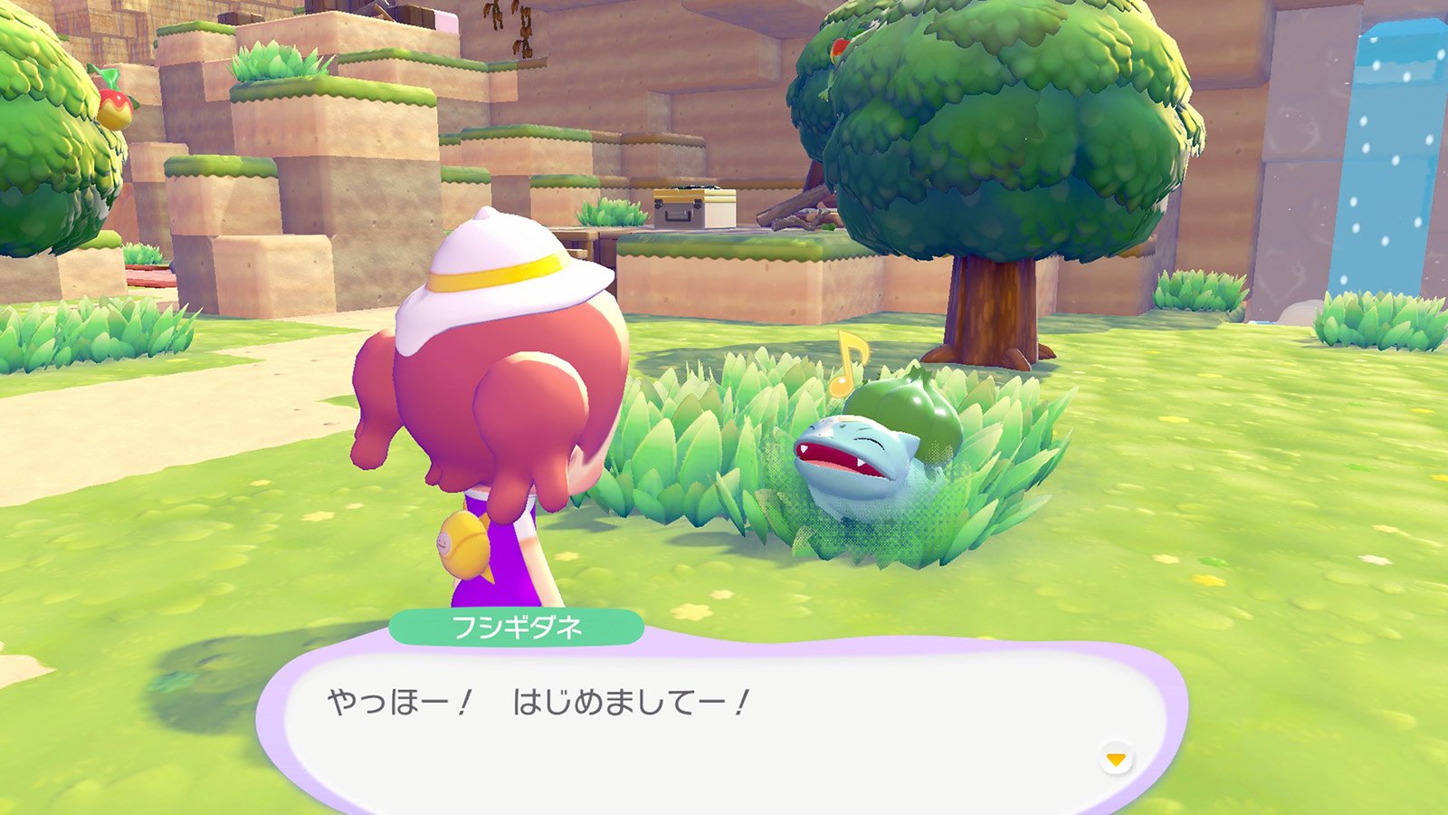 ぽこ あ ポケモン フシギダネ