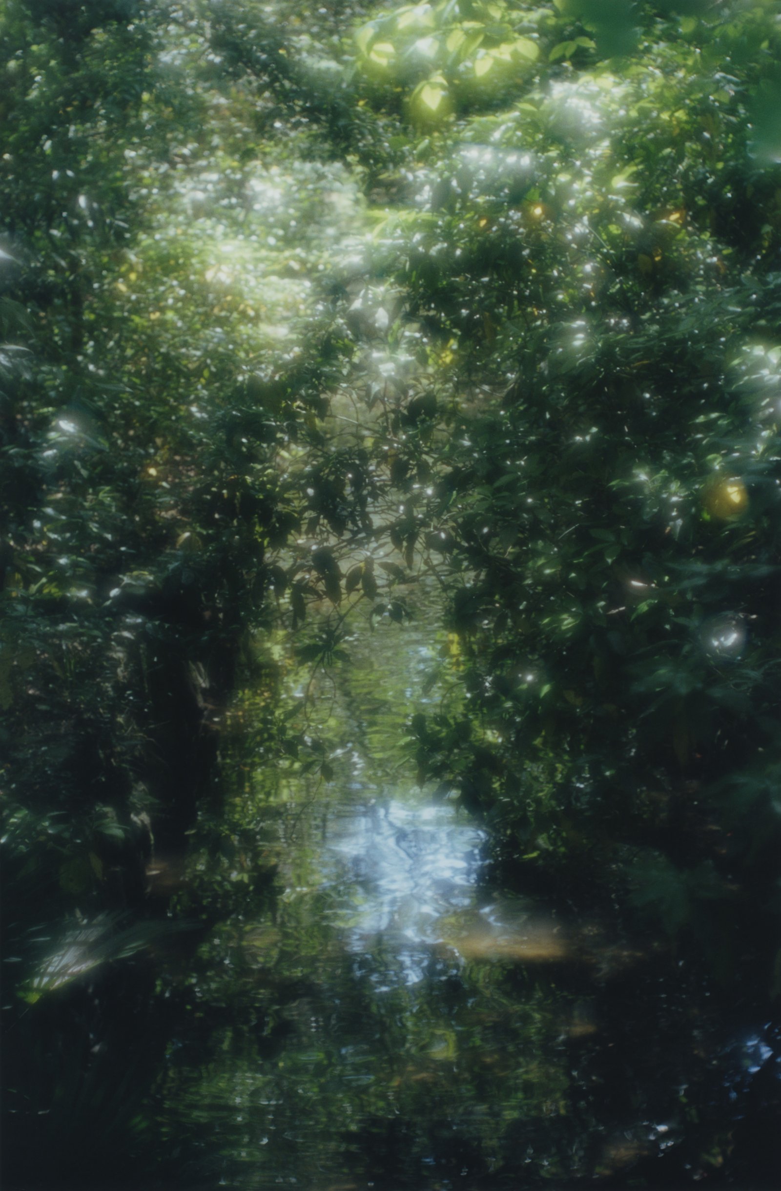 8_LUMIÈRE_PRIÈRE_展示会広報用.jpg