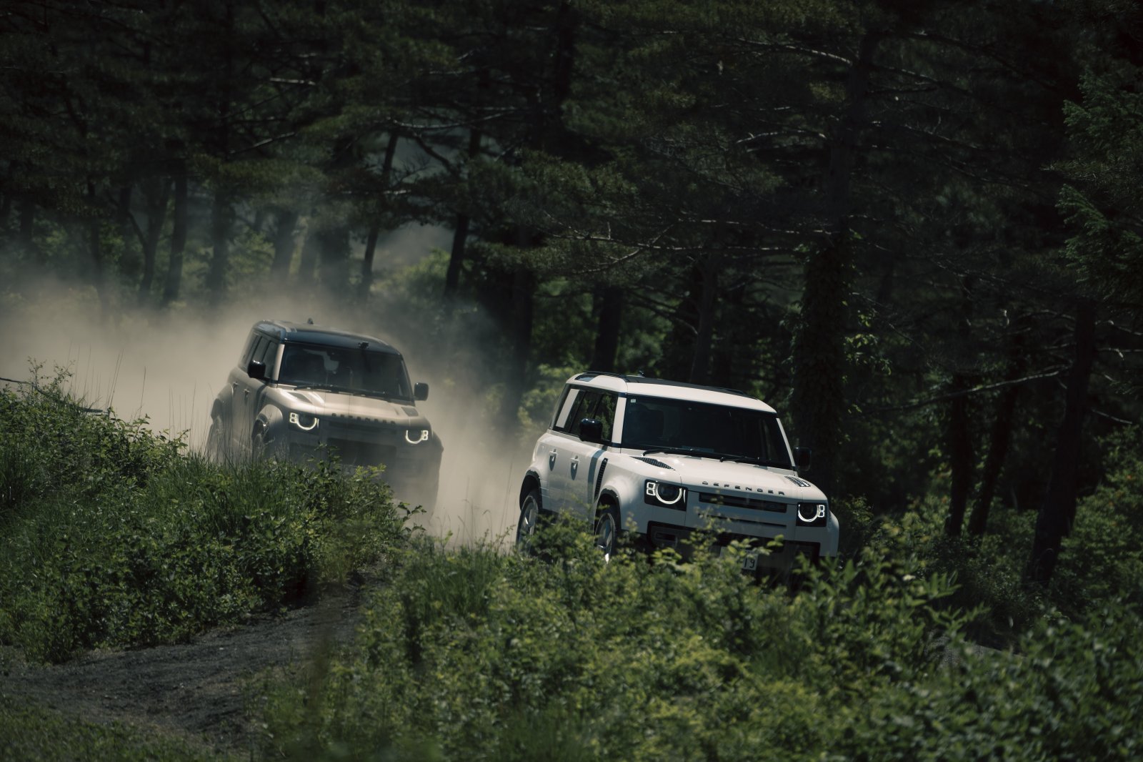 DEFENDER_OCTA (28).jpg