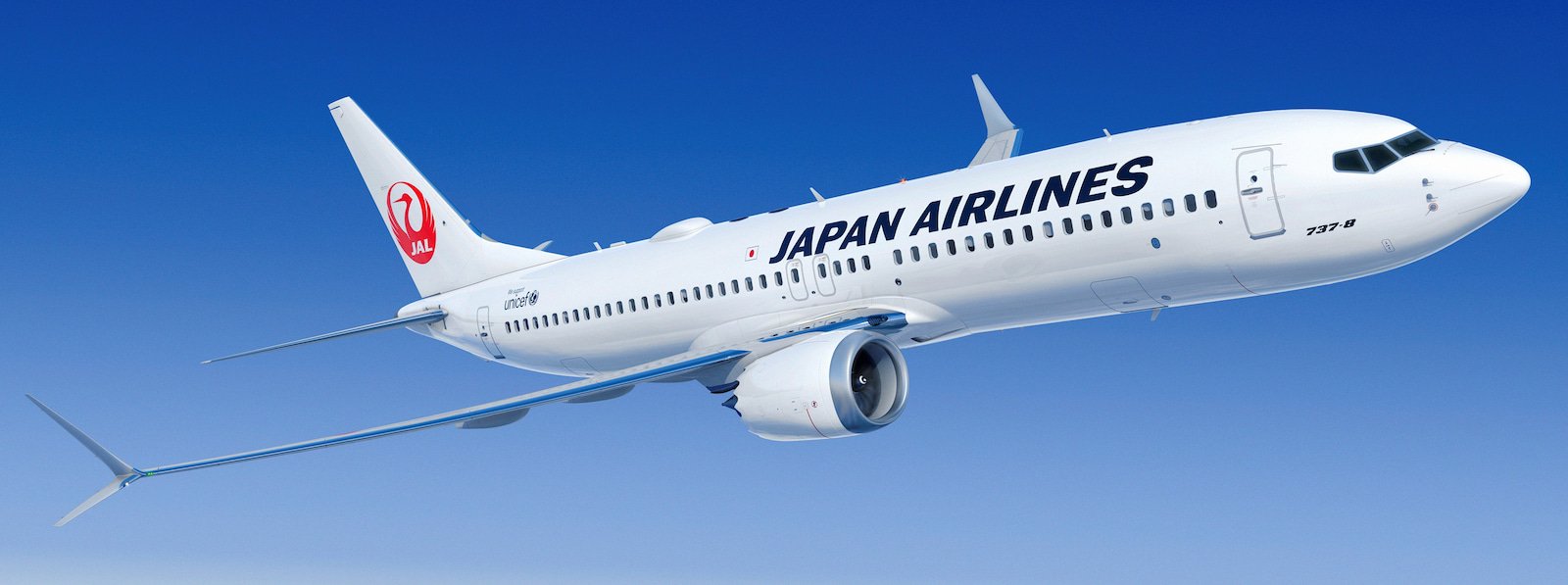1-737-8(国内線)_240322JAL (1).jpg