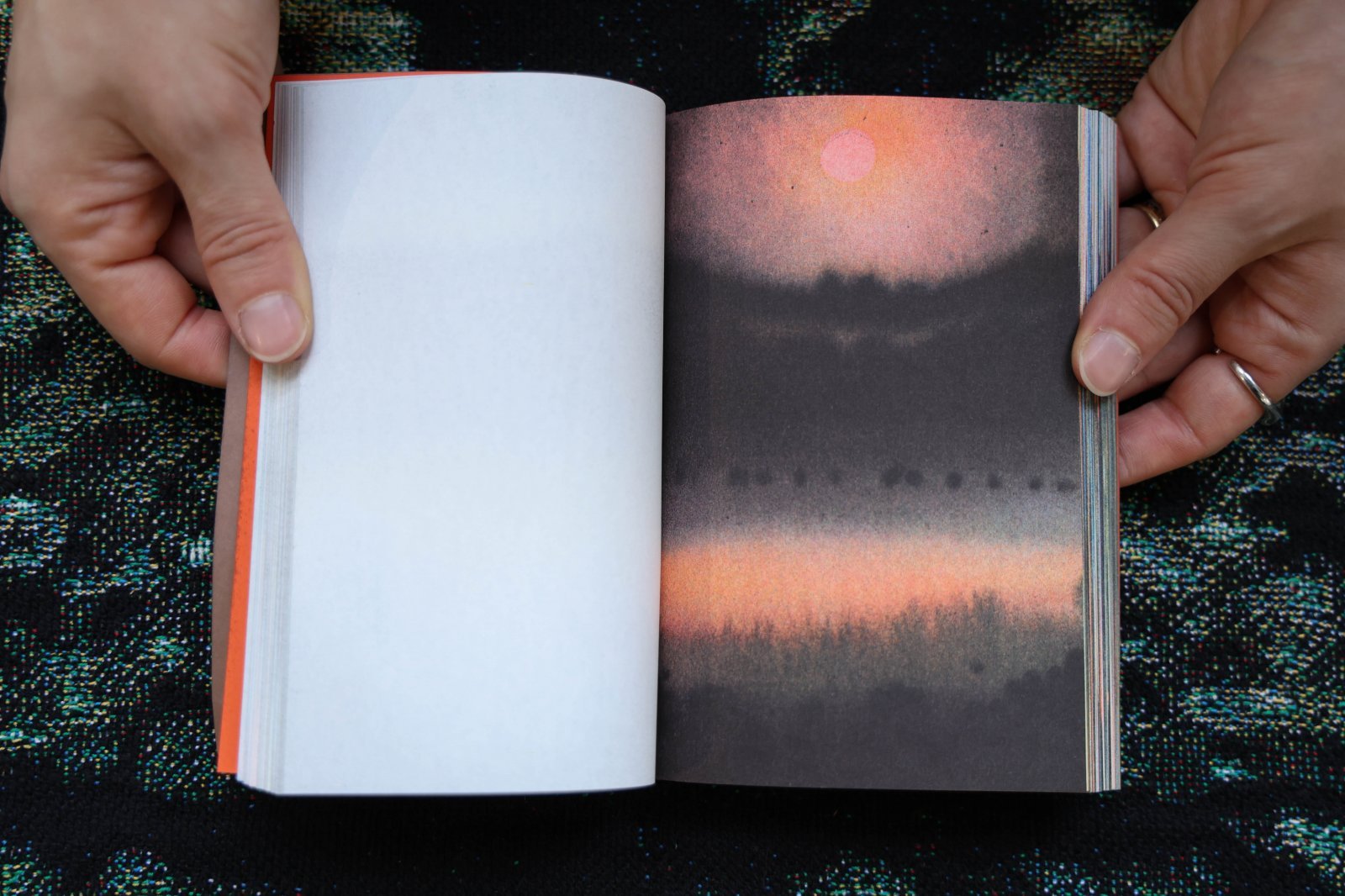 Fidèle Éditions_4.jpg