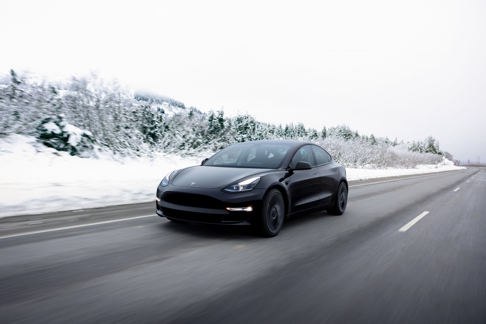 0x0-Model3_01のコピー.jpg