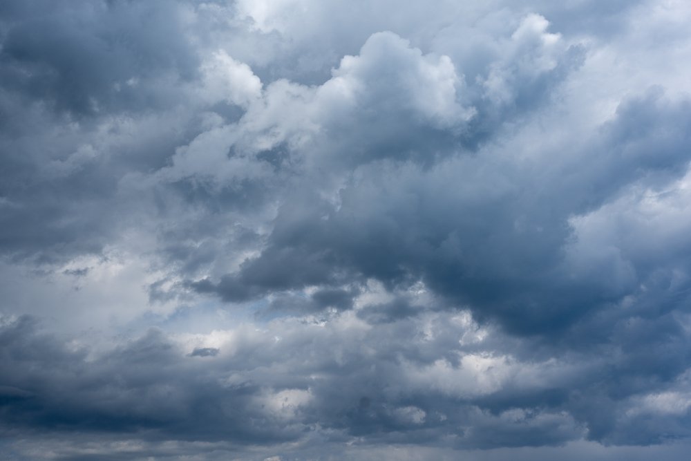 shutterstock_2714514401.jpg