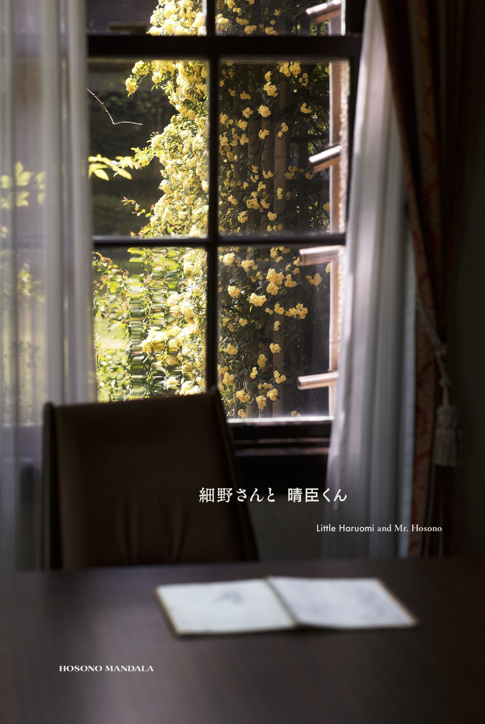 hh_rikkyo_mv_01.jpg