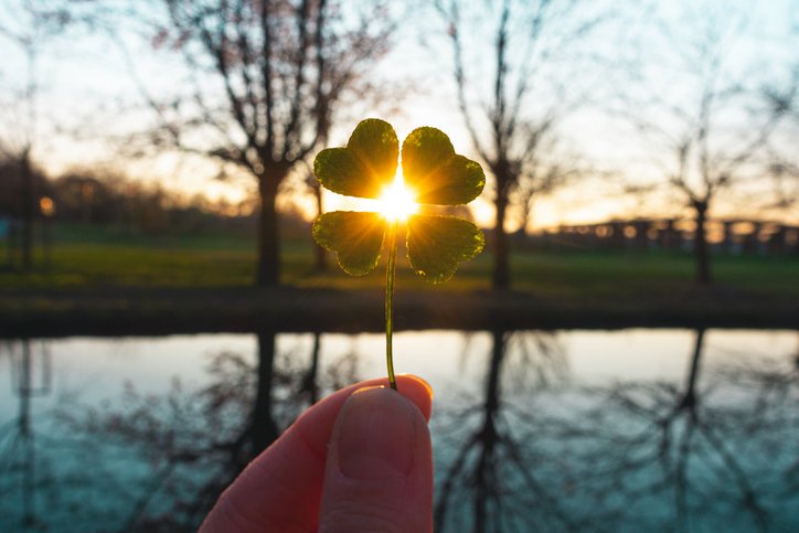 iStock-1191635117.jpeg
