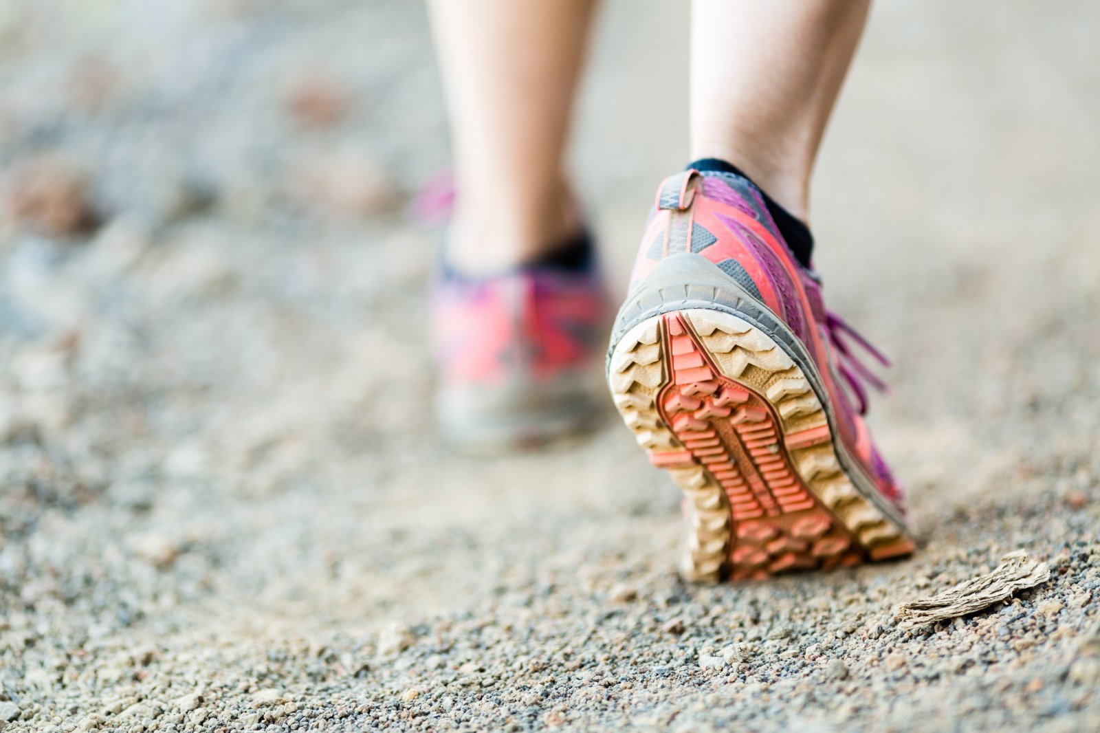 iStock-492819529.jpg