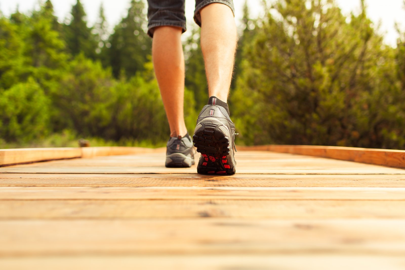iStock-519370224.jpg