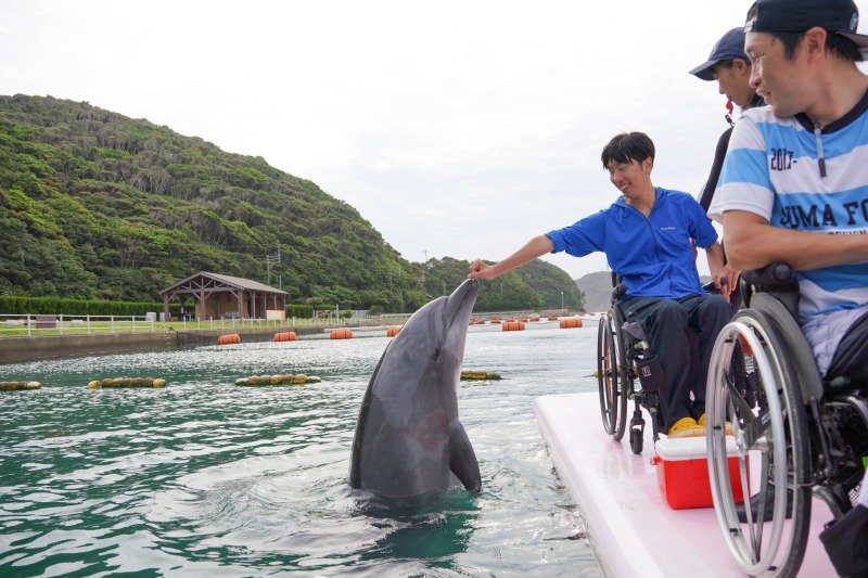 iki_dolphin_sub7.jpg