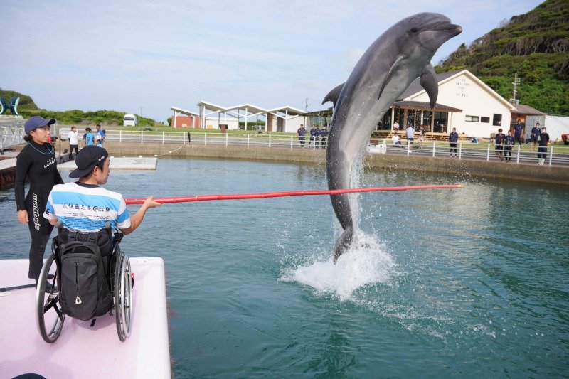 iki_dolphin_sub8.jpg