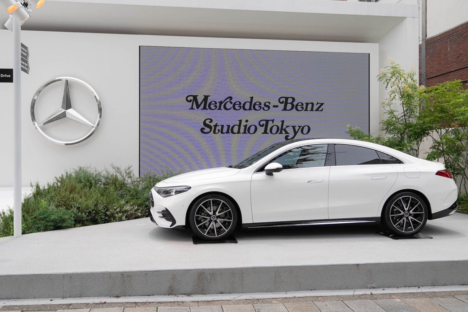 mbj_0483.jpg