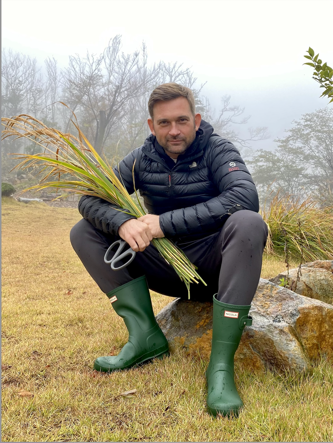 nicolai bergmann.PNG