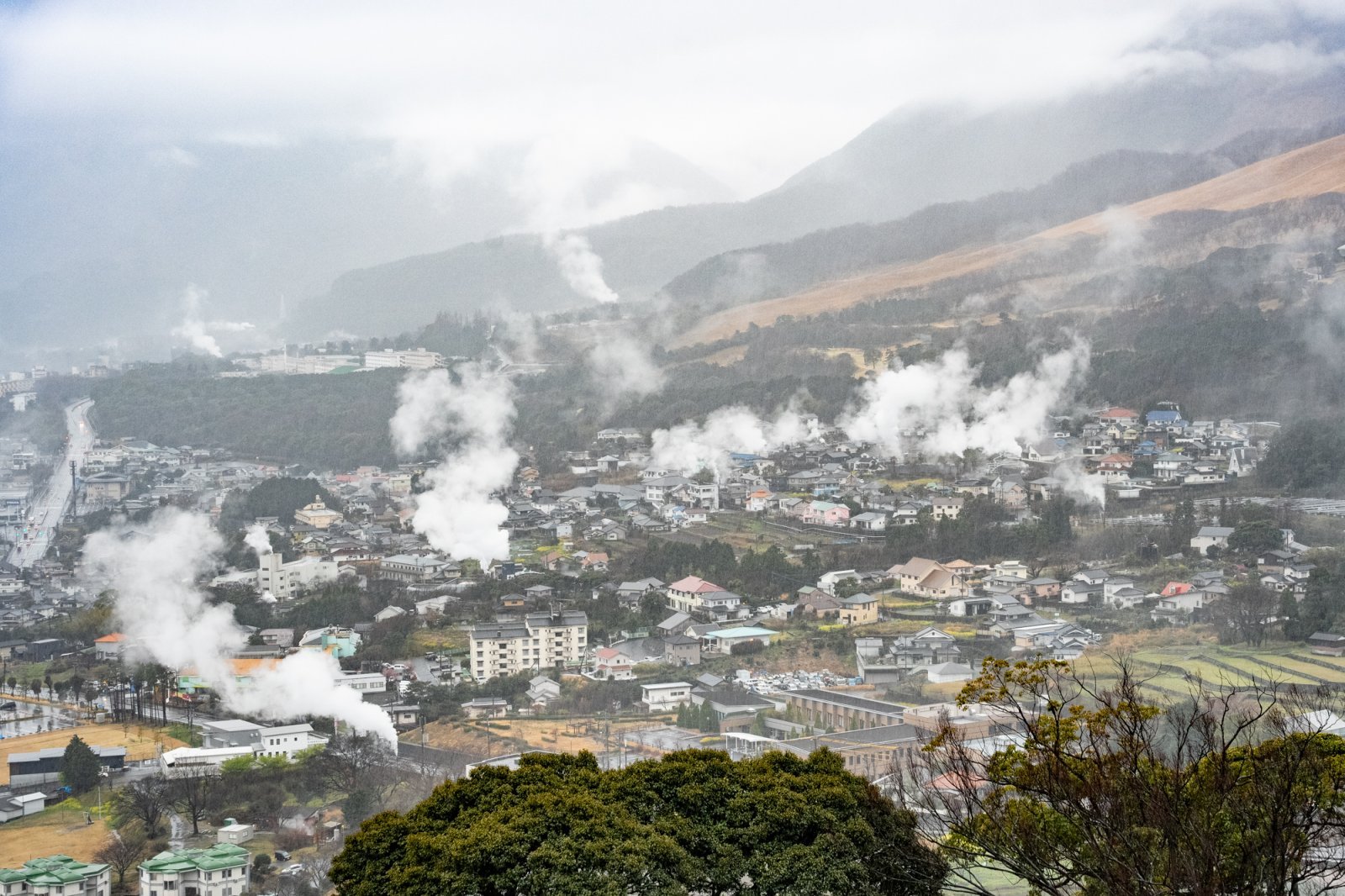 oita_141.jpg