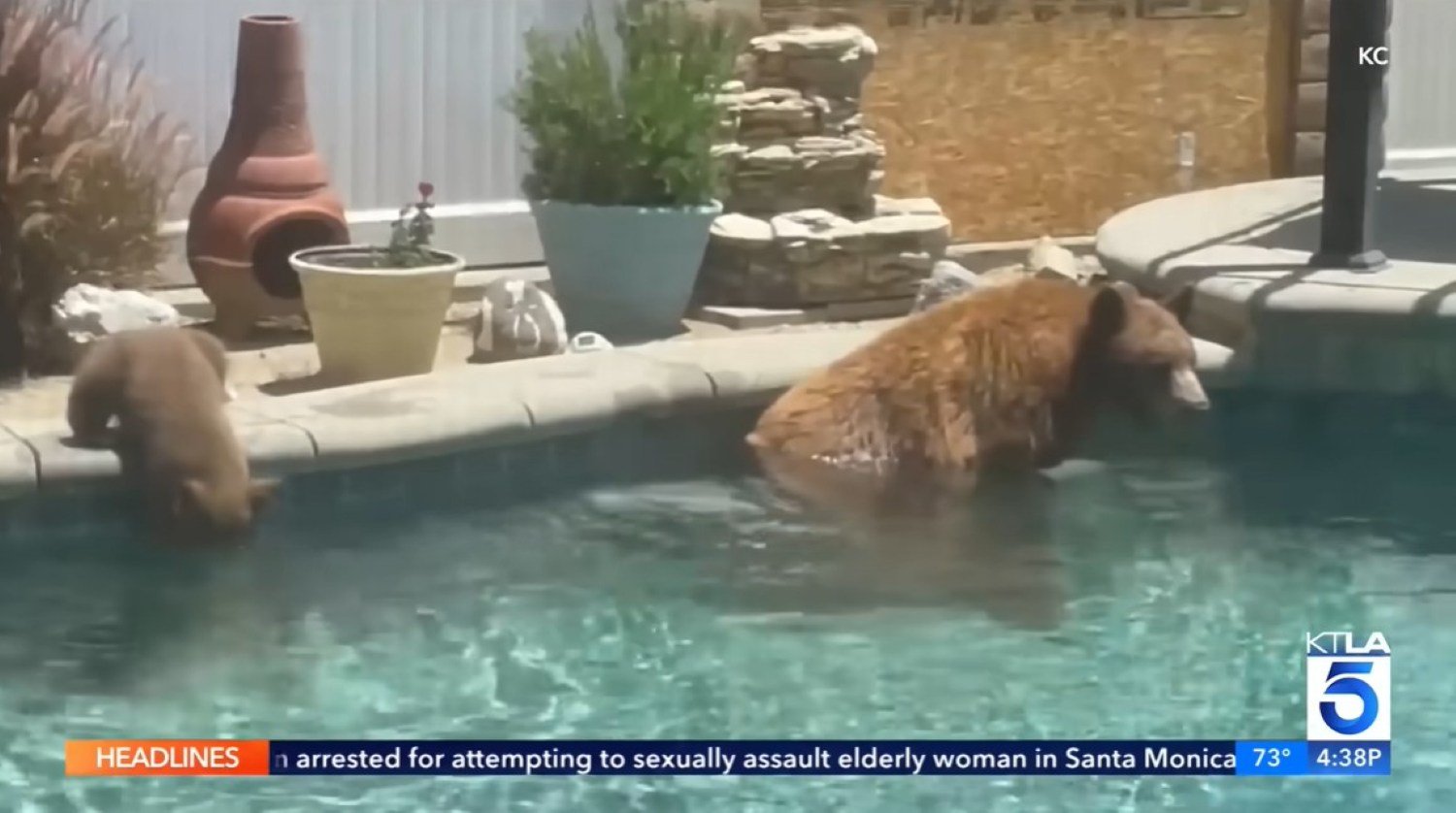 pool.jpg