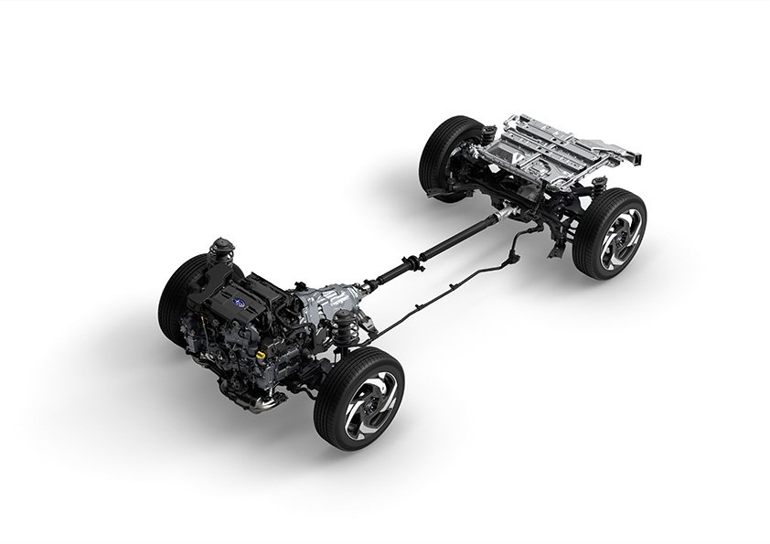 sct241003_low.jpg