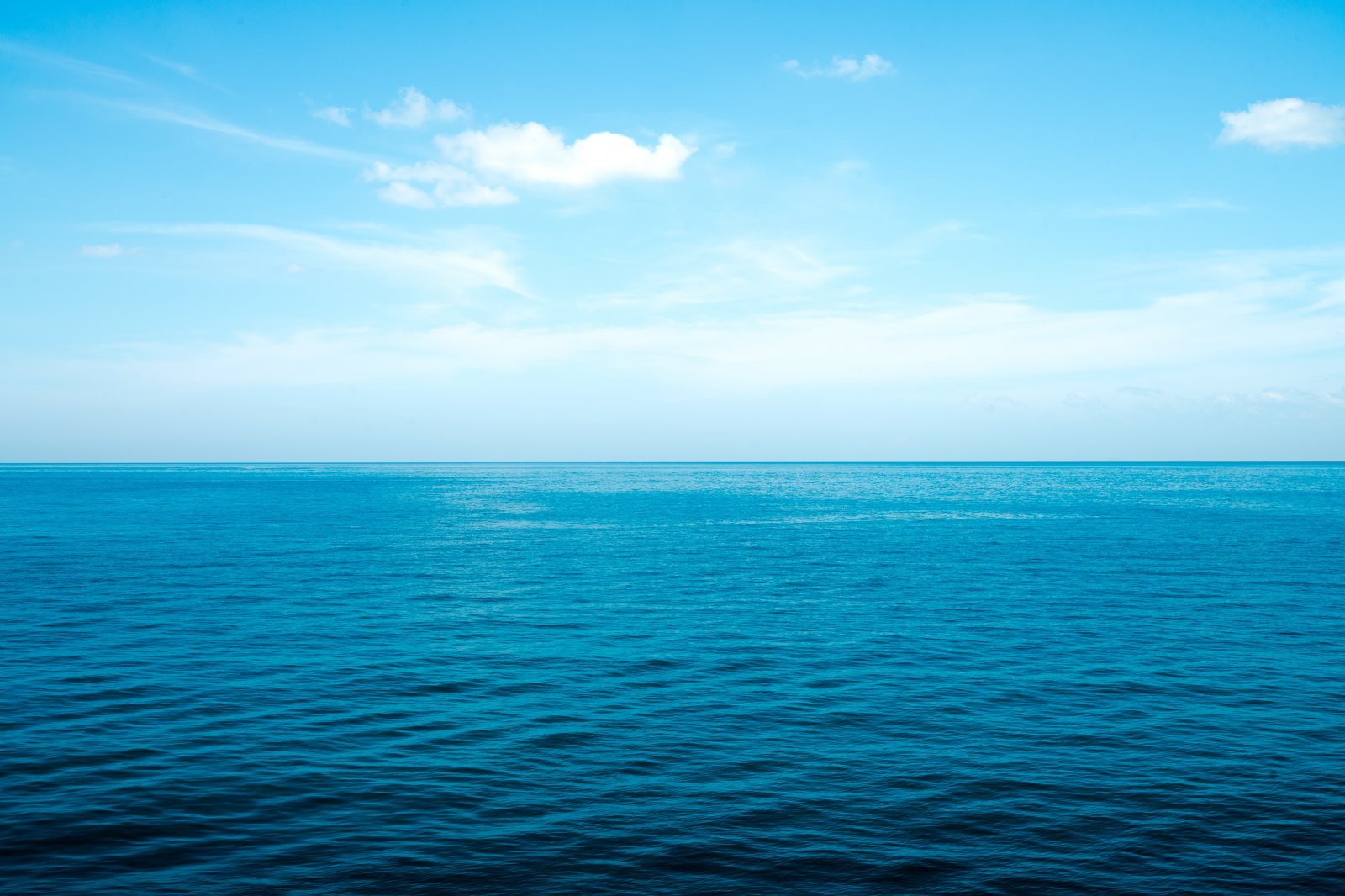 shutterstock_1727348677.jpg