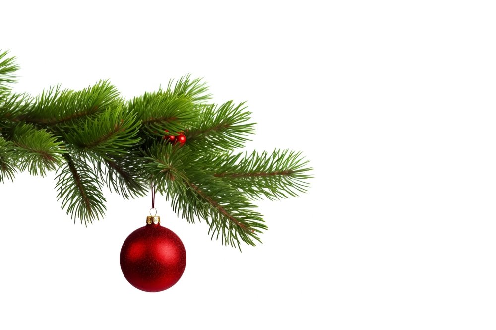 shutterstock_2342781473.jpg