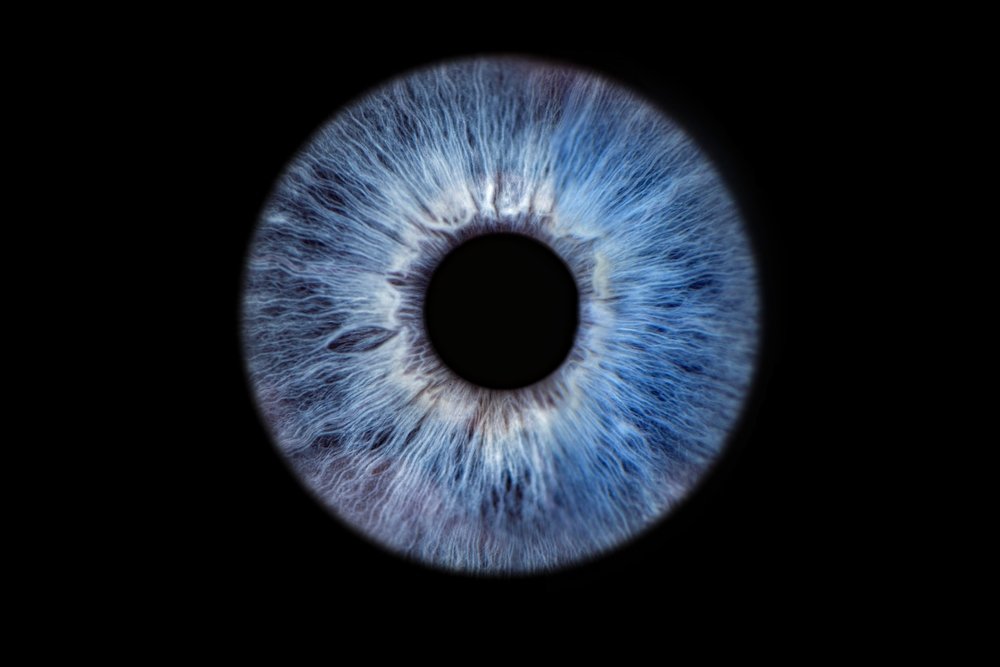 shutterstock_2344414389.jpg