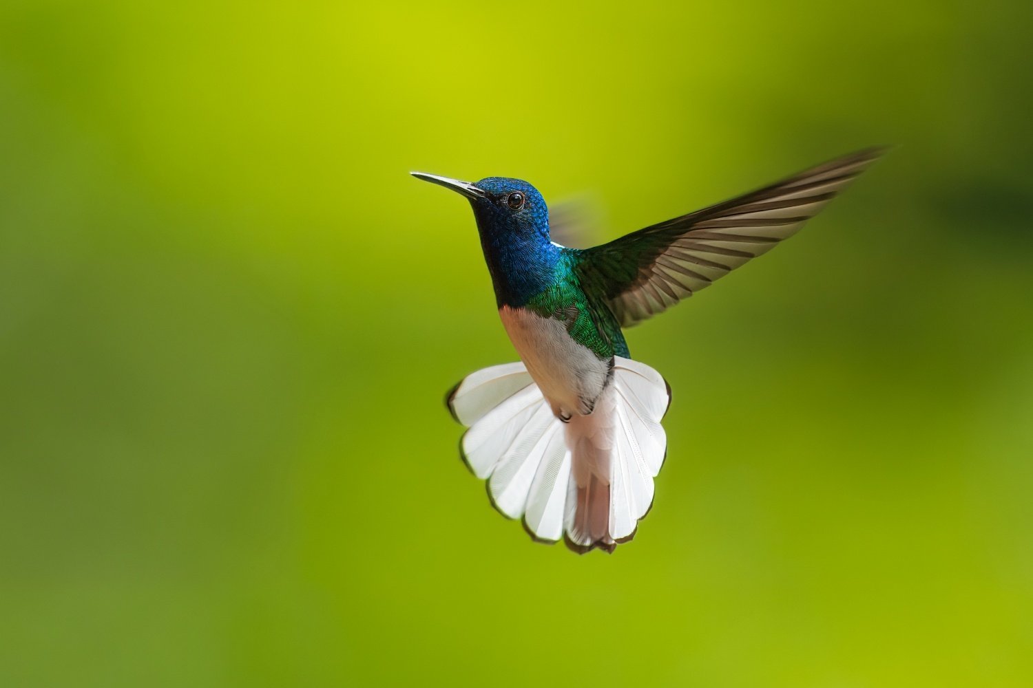 shutterstock_2503327209.jpg