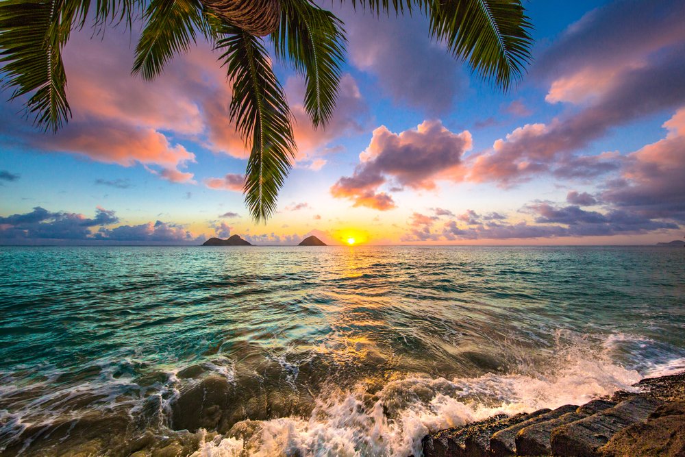 shutterstock_557636224.jpg