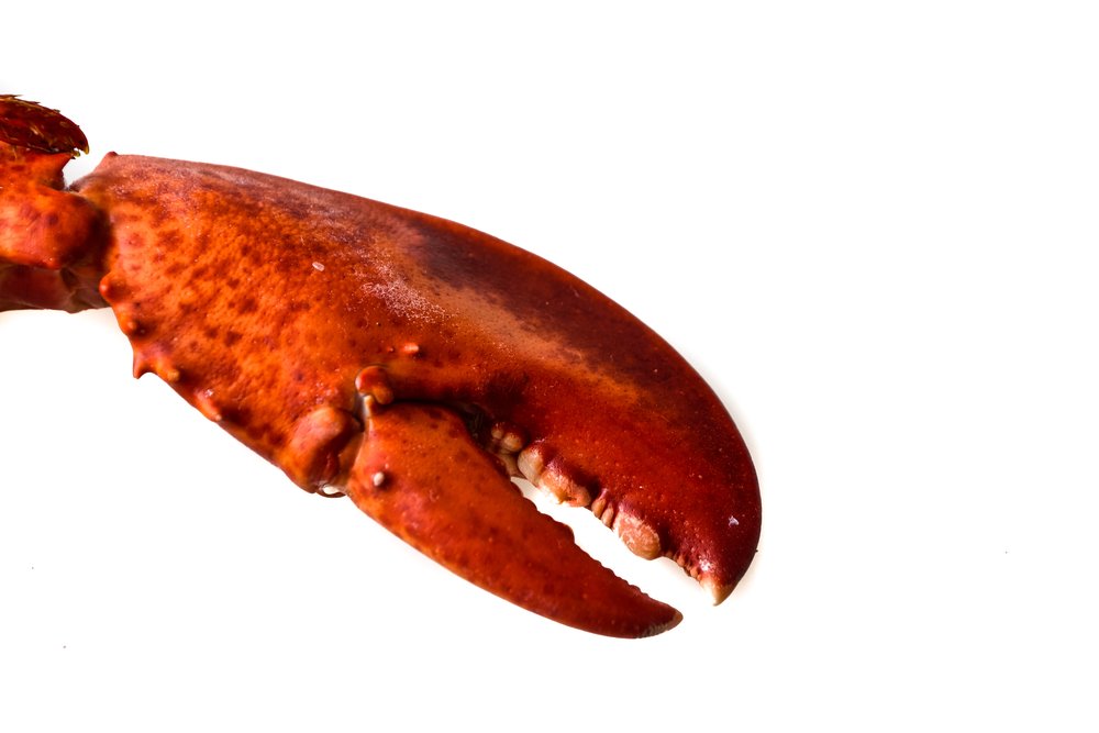 shutterstock_653484181.jpg