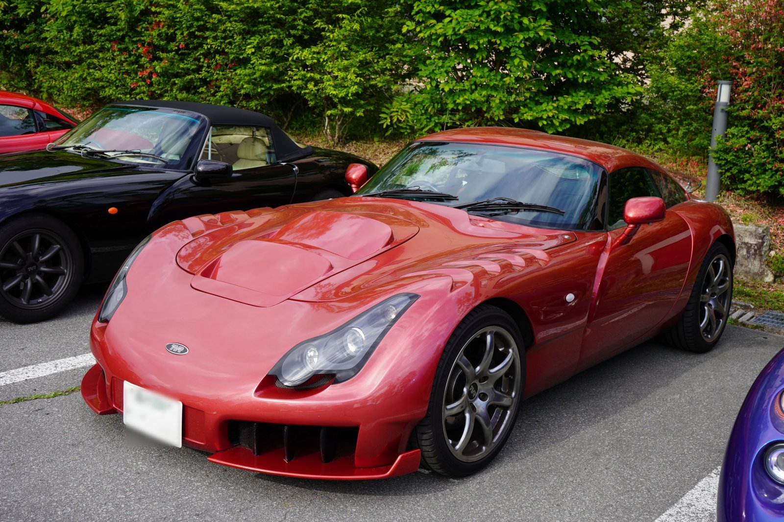 tvr09_1.jpg