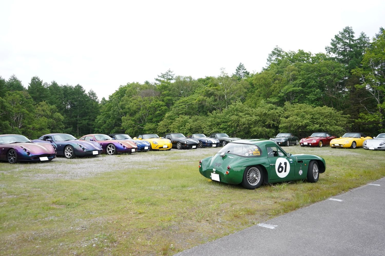 tvr6.jpg