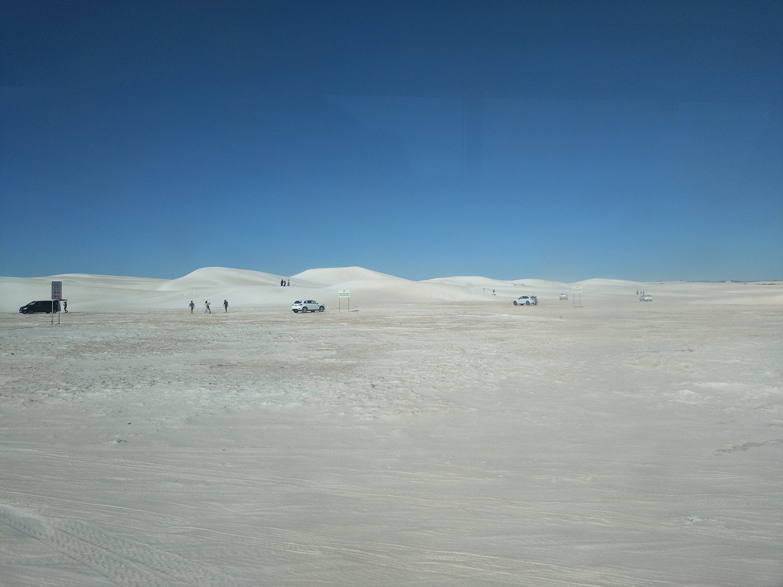 20250316_155120.jpg