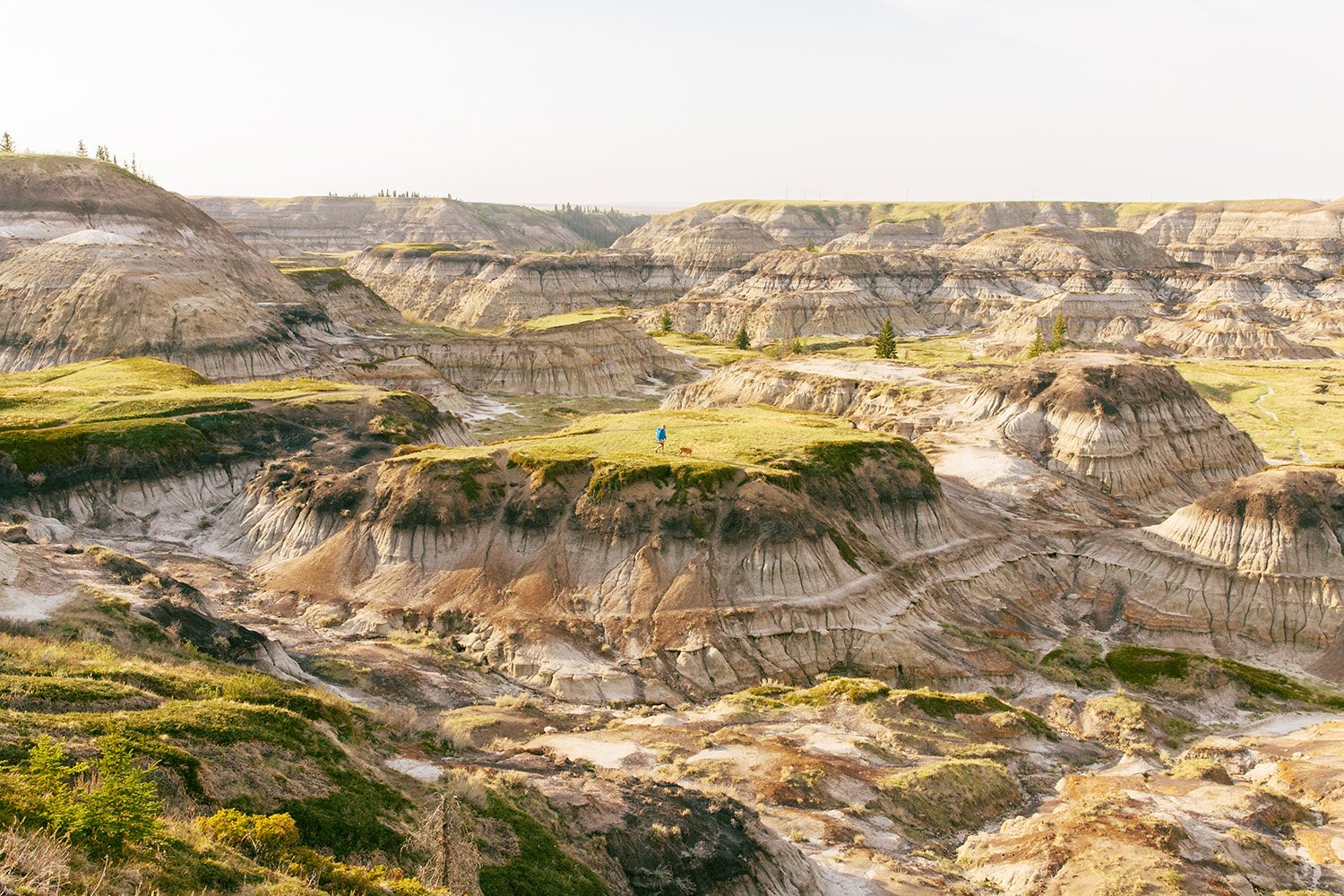 i15-016710--High-Res_Drumheller JPG.jpg