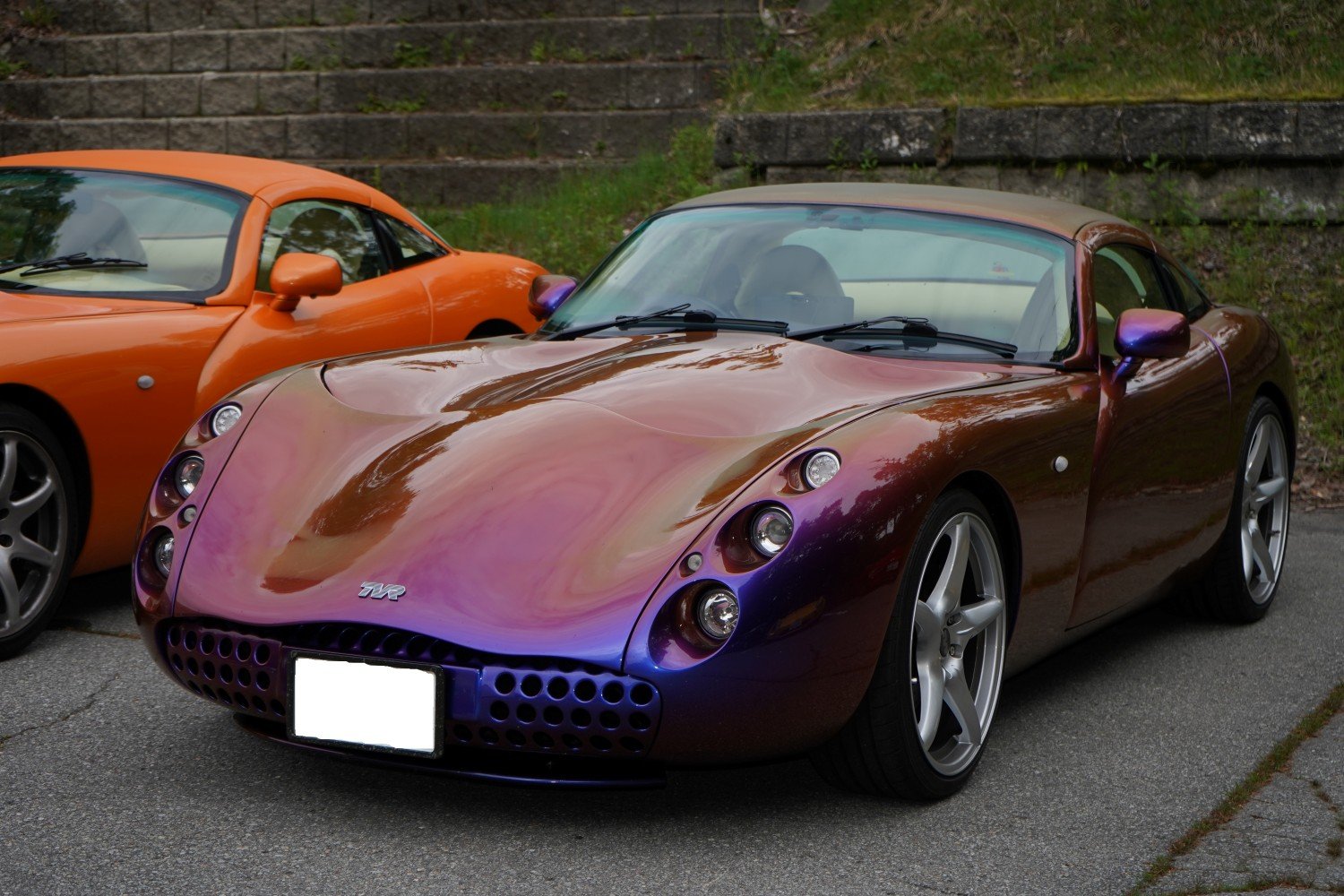 tvr2.jpg